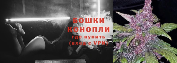 индика Струнино