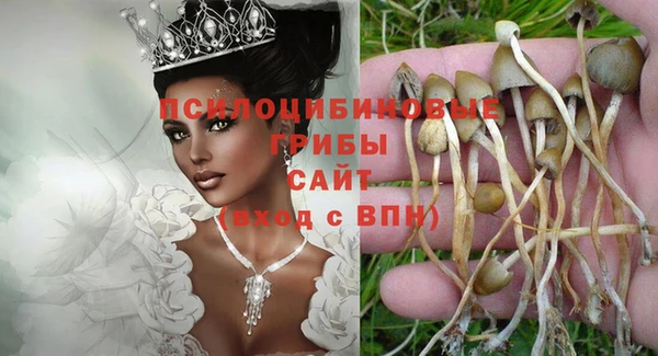 амф Балахна