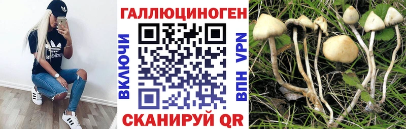 купить наркотики сайты Нязепетровск Галлюциногенные грибы Psilocybe